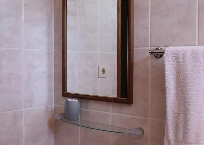 Al Lina Guest house Termas de Sao Pedro do Sul